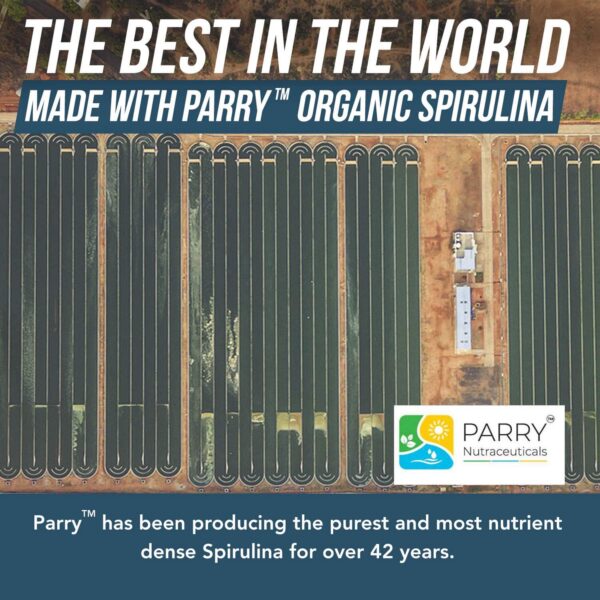 Polvo espirulina Parry orgánico para salud y energía