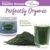 Polvo de espirulina sin rellenos para veganos y atletas