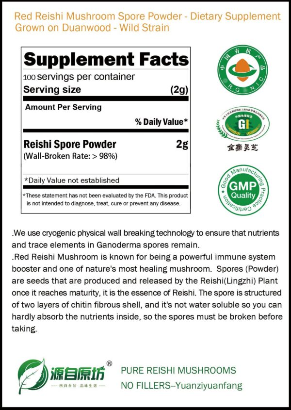 Polvo de esporas de reishi para batidos y tés mejor absorción