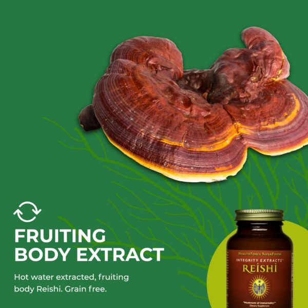 Polvo extracto Reishi 100% funcional certificado HealthForce
