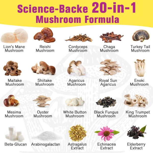 Polvo fino de hongos Dmeisy para bebidas y comidas