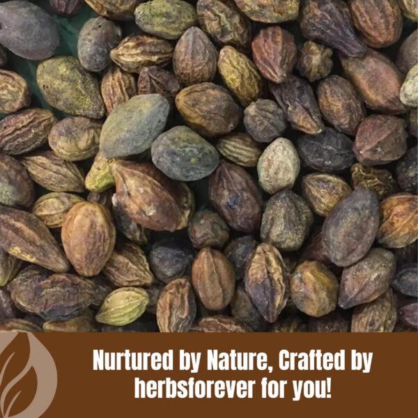 Version 1.0.0 Polvo Herbal Haritaki sin gluten y no OGM 454g