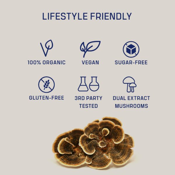 Polvo hongo functional mushroom DIRTEA extractos naturales