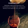 Polvo hongo Reishi Moon Juice sin rellenos ni almidones