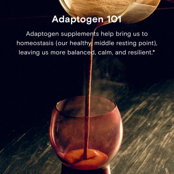 Polvo hongo Reishi Moon Juice sin rellenos ni almidones