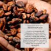 Polvo de hongos adaptogénicos de Melena de León y más