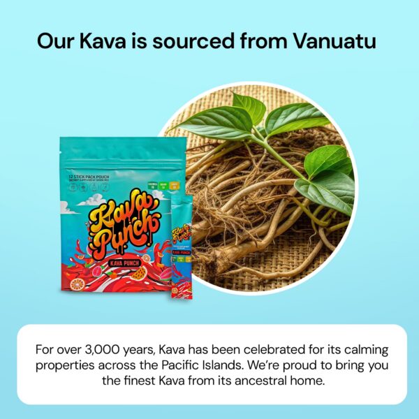 Polvo Kava Punch en vasija para relajación diaria