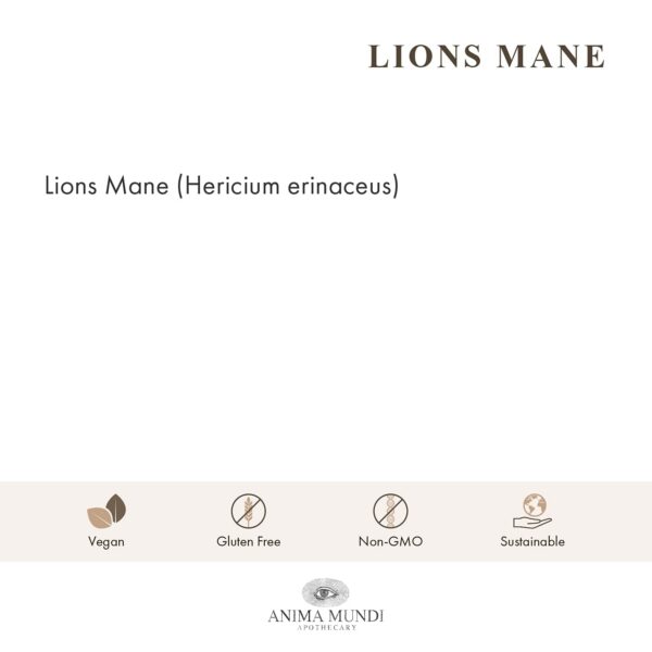 Polvo Lions Mane Anima Mundi paquete de 141 gramos