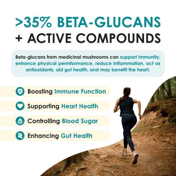 Polvo melena de león apoya sistema inmunológico y digestivo