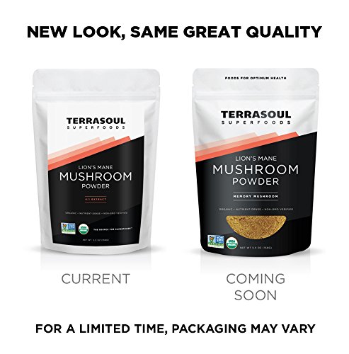 Polvo extracto Lion's Mane orgánico Terrasoul Superfoods