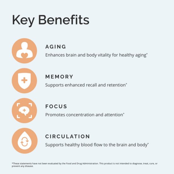 Polvo multivitaminico BrainMD sin azúcar ni gluten 30 porciones