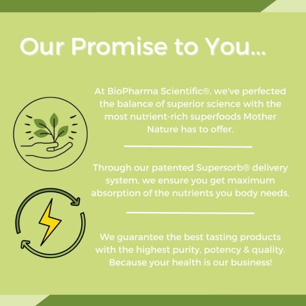 Suplemento vegano omega-3 Nanomega en presentación polvo