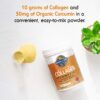 Polvo natural colágeno hidrolizado Garden of Life manzana canela