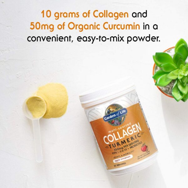 Polvo natural colágeno hidrolizado Garden of Life manzana canela