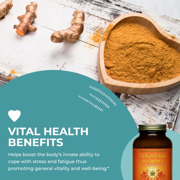 Polvo natural de cúrcuma HEALTHFORCE SUPERFOODS para salud