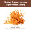 Polvo OM Mushroom Superfood Cordyceps apoyo oxidación y circulación