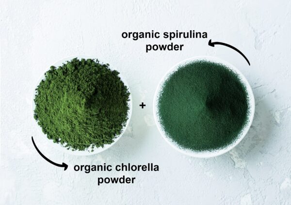 Polvo orgánico de algas con alto contenido en proteína vegetal
