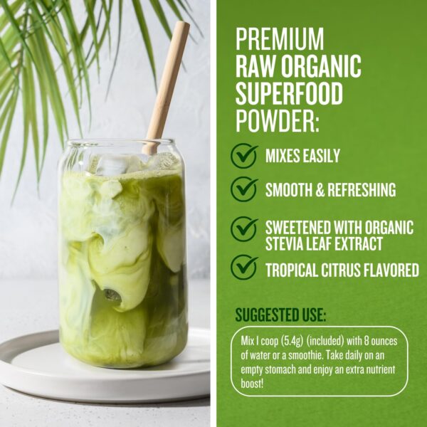 polvo orgánico pasto trigo para salud y bienestar natural