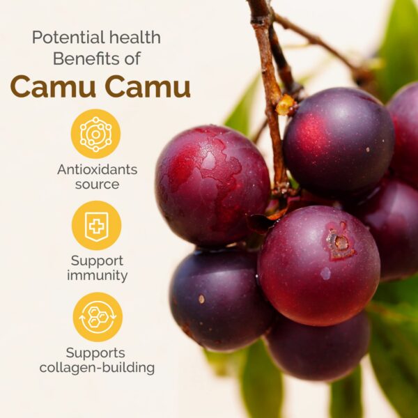 polvo-organico-superfood-camu-camu-zint