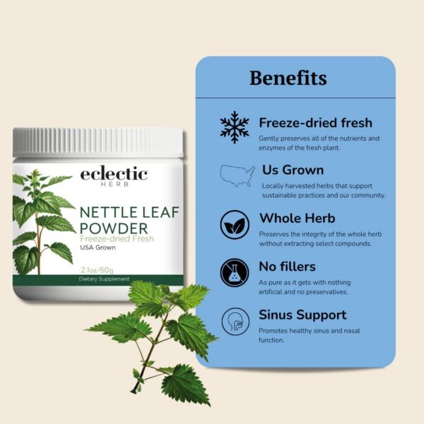 Version 1.0.0 Polvo de ortiga Eclectic Institute empaque trasero