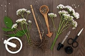 Polvo de raíz de valeriana The Bloomin Herb Shoppe empaque frontal