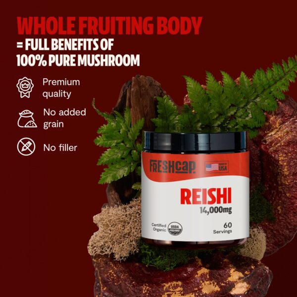 Polvo reishi natural sin rellenos FreshCap suplemento vegano