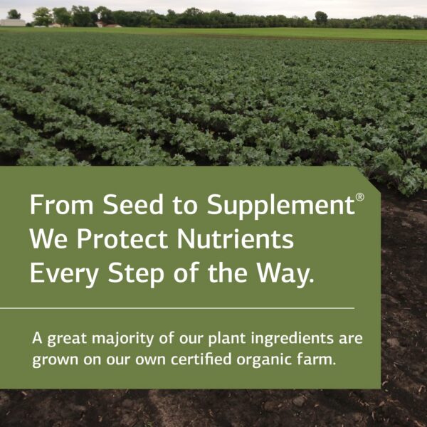 Sello Standard Process en suplemento sin lácteos 32 onzas 30 porciones