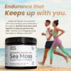 Polvo Sea Moss Atlantic Naturals para nutrición y energía