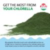 Polvo Sun Chlorella alga verde en vaso