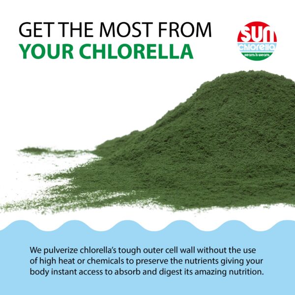 Polvo Sun Chlorella alga verde en vaso