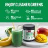 Polvo superalimento unflavored Smarter Greens para energía y salud