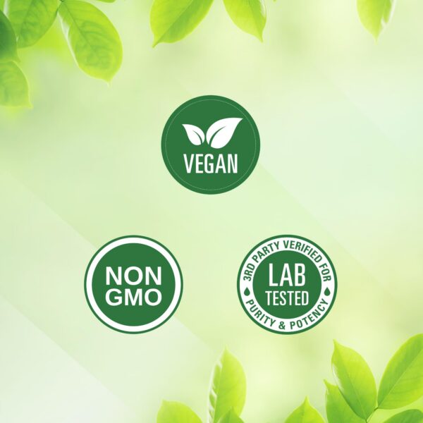 Polvo de suplementos superfood para energía y detoxificación