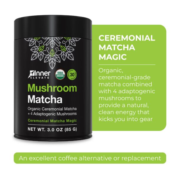 Polvo en vaso Inner Elevate Mushroom Chai