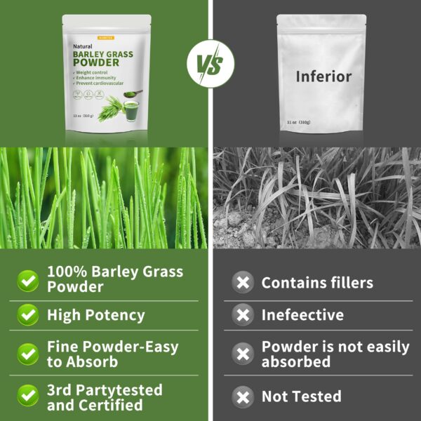 Polvo vegano pasto de cebada Hudetex antioxidantes naturales