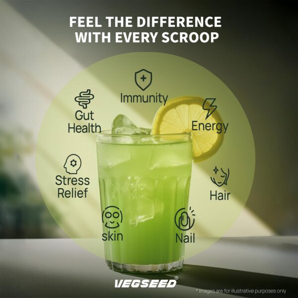 Version 1.0.0 Polvo Vegseed greens superfoods con mezcla natural saludable