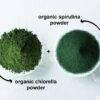 Polvo verde algas orgánico proteína superalimento vegano