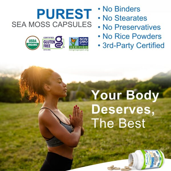 Version 1.0.0 Certificaciones y sellos de calidad