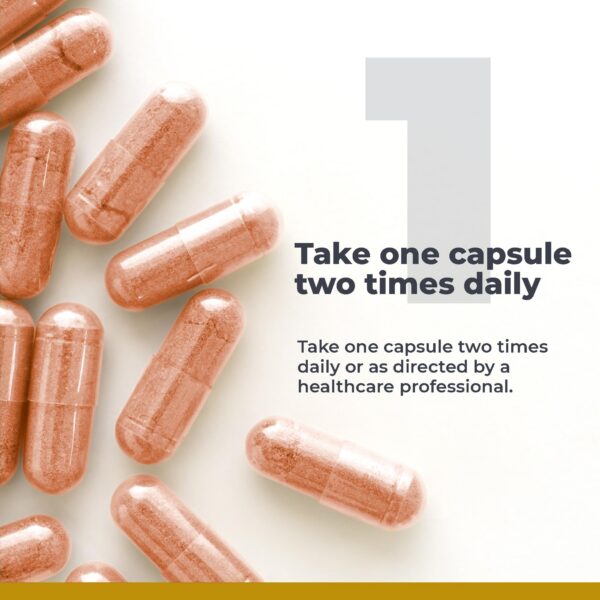 Detalles de ingredientes Premier NAC