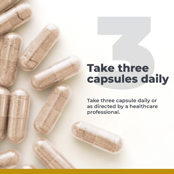 Interior del envase Inflammacidin