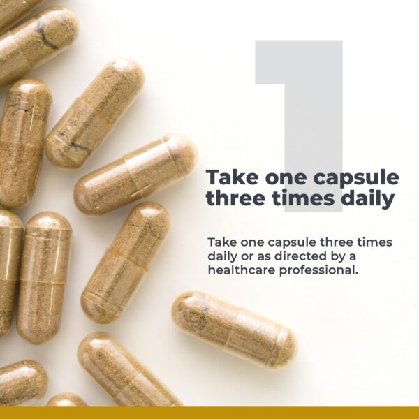 Detalle de sello de calidad