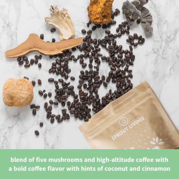 Preparación de batido con Sprout Living Epic Protein en polvo