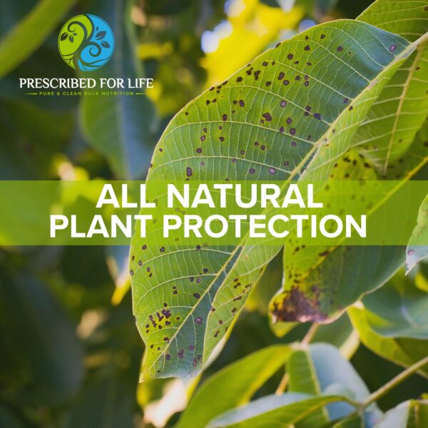 Vista general del polvo bicarbonato 16oz