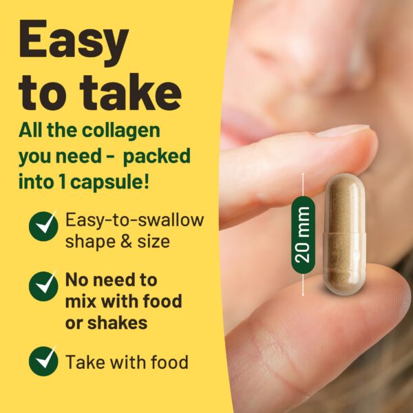 Presentación 1 unidad