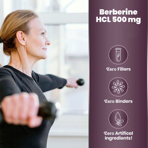 Version 1.0.0 Presentación berberina Simply Natures Pure 120 cápsulas natural 500mg