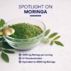 Empaque del suplemento Research Verified Moringa Oleifera
