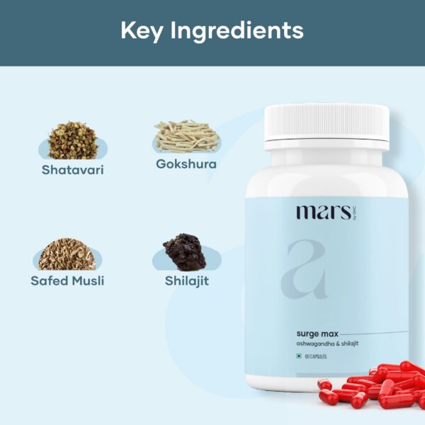 Presentación Mars Surgemax para estilo de vida activo