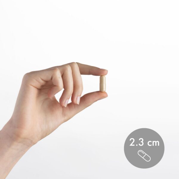 Presentación suplemento natural certificado USDA orgánico y GMO free