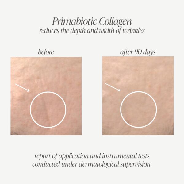 Formato shot listo para consumir