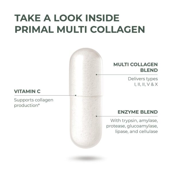 Version 1.0.0 Tabla nutricional del producto