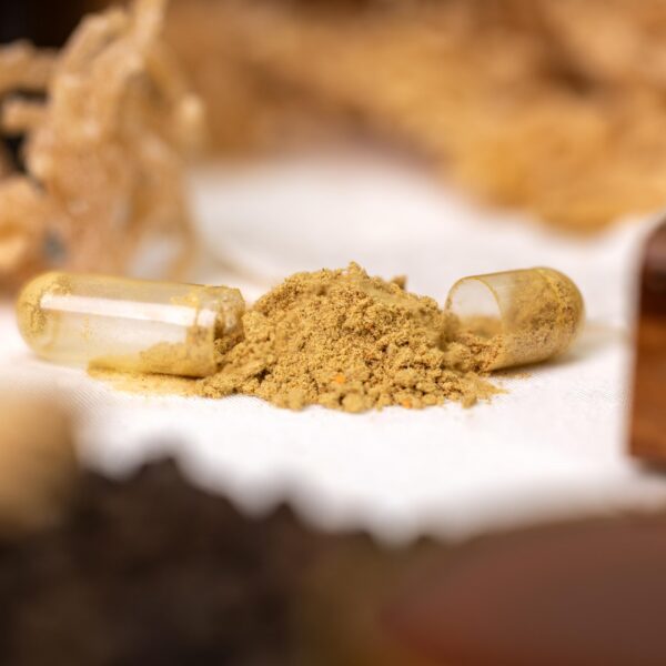 Primer plano de cápsula